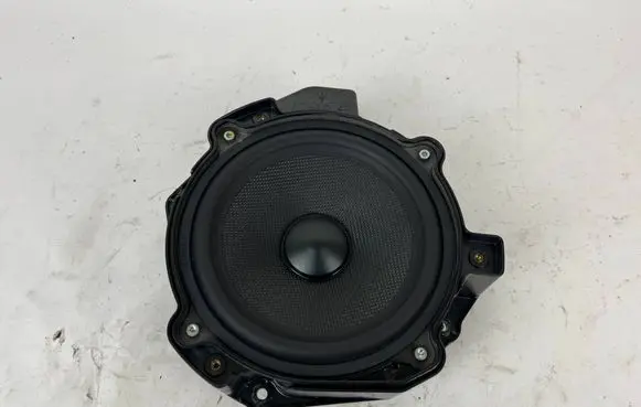 Front door speaker