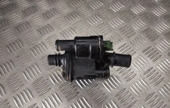 Thermostat/thermostat housing