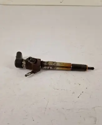 Nissan Qashqai Fuel injector H8201100113