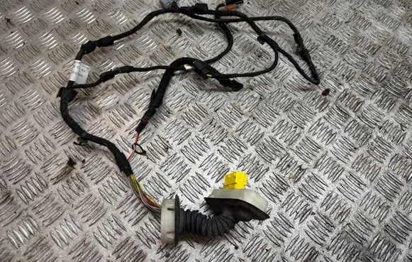 Front door wiring loom