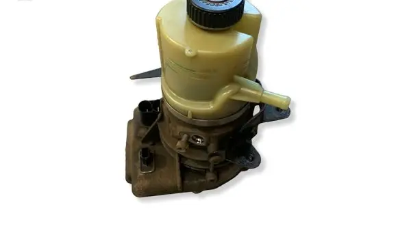 Renault Trafic III (X82) Power steering pump 491100616R