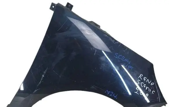 Renault Scenic III - Grand scenic III Fender 631000970r-4car