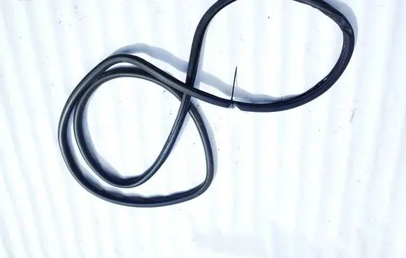 Volkswagen Golf V Rubber seal front coupe door 