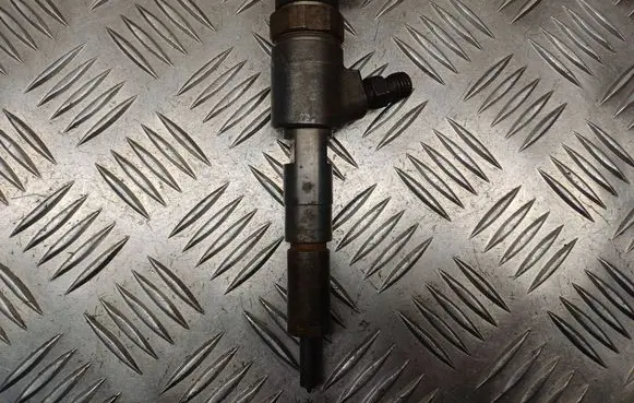 Citroen C3 Fuel injector 0445110252