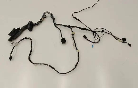 BMW X3 F25 Front door wiring loom 9243646 9252367 0309132151