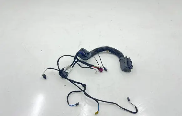 Mercedes-Benz E W238 Front door wiring loom A2385406720