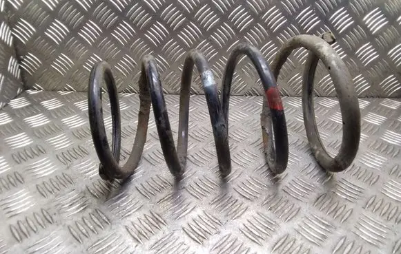 Nissan X-Trail T30 Rear coil spring