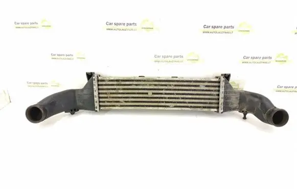 Mercedes-Benz C W202 Intercooler radiator 2025001100 2025001000