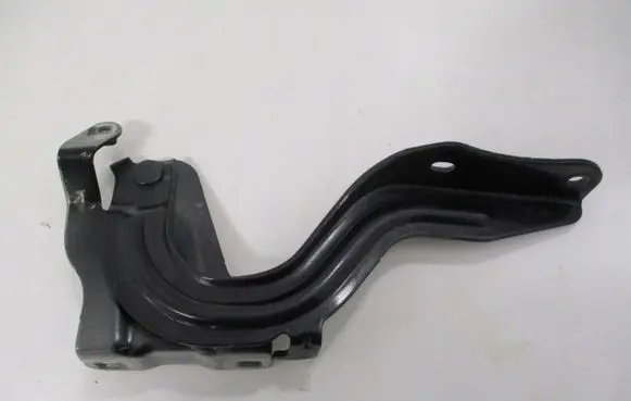 Renault Koleos II Engine bonnet/hood hinges