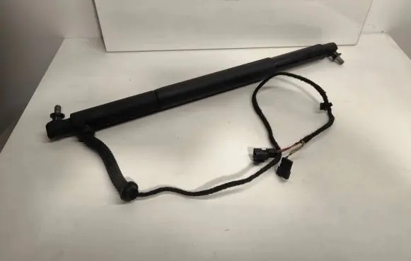 BMW X6 E71 Tailgate/trunk strut/damper 7286117 26012011 613843