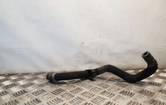 Nissan Juke I F15 Engine coolant pipe/hose