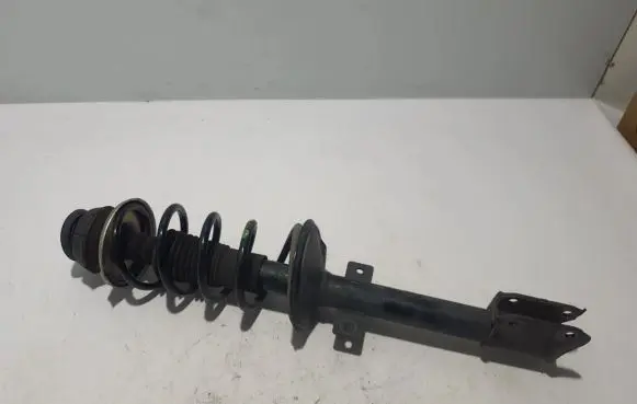 Renault Arkana Rear shock absorber/damper 562107325R