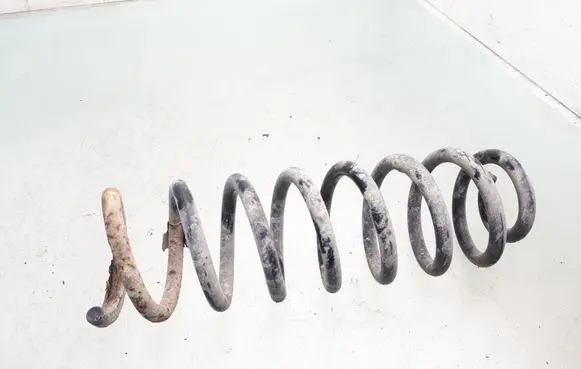 Renault Scenic II - Grand scenic II Rear coil spring
