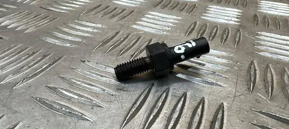 Chevrolet Captiva Coolant temperature sensor 
