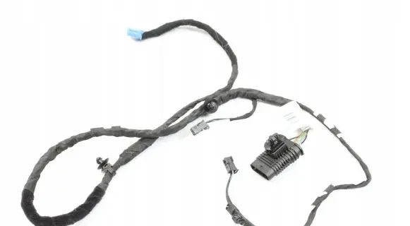 BMW 7 G70 Other wiring loom 5A74595