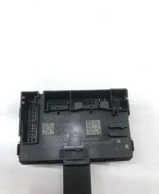 Cupra Born Door control unit/module 1EA959593B