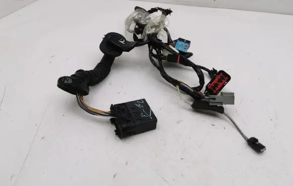Front door wiring loom