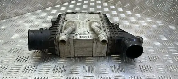 Land Rover Evoque I Intercooler radiator GJ329L440AB