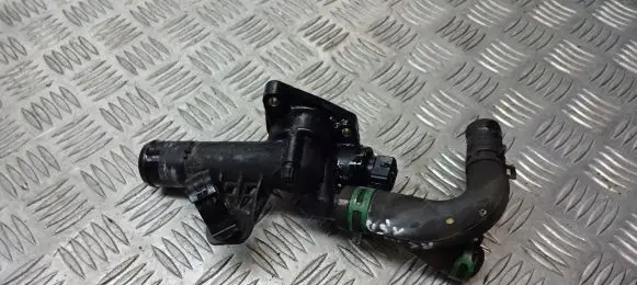 Thermostat/thermostat housing