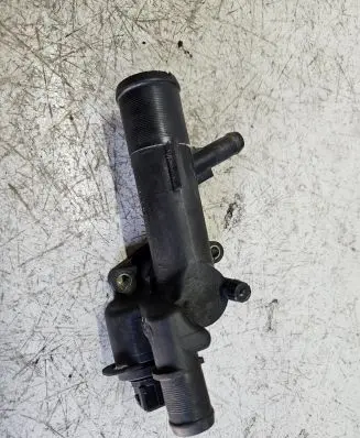 Thermostat/thermostat housing