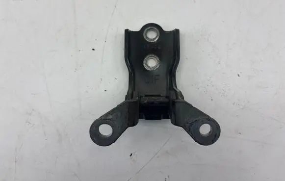 Chevrolet Captiva Rear door lower hinge