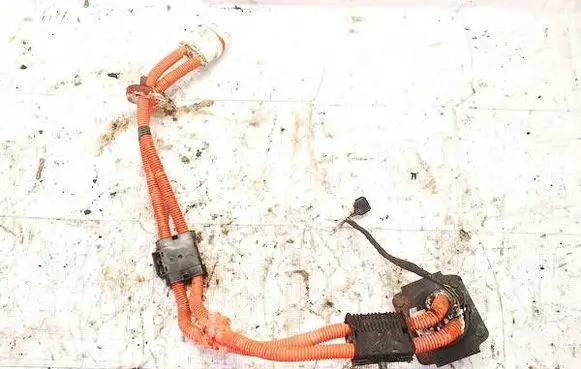 Nissan Leaf I (ZE0) Other wiring loom 242203nf1c 7184-8483-30