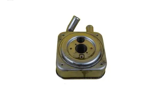 Hyundai Santa Fe Engine oil radiator D4EB