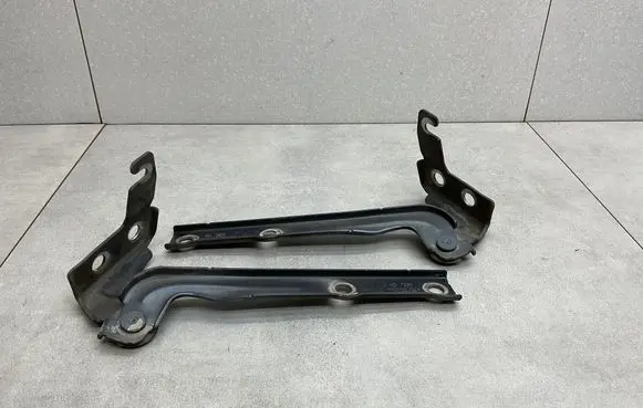 Volkswagen Tiguan Engine bonnet/hood hinges 5N0823301A 5N0823302A