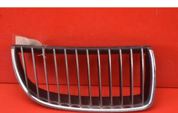 BMW X3 E83 Front grill 7120010