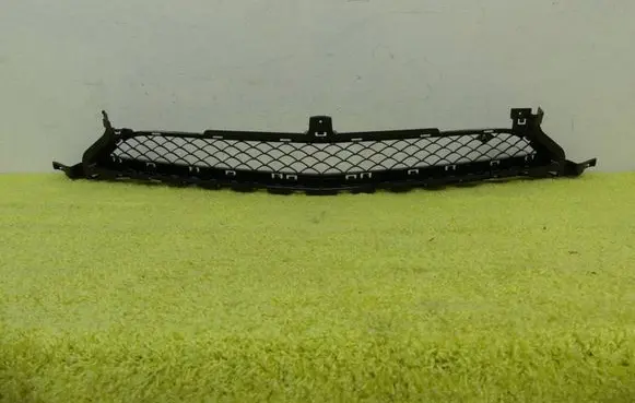 Mercedes-Benz AMG GT R190 C190 Front bumper lower grill 1908850254