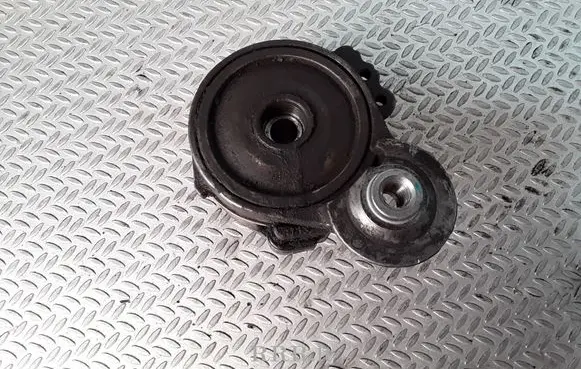 Peugeot 406 Generator/alternator belt tensioner