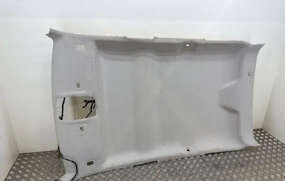 Citroen C4 Cactus Headlining 98012878BJ