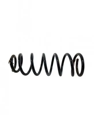 Rear coil spring