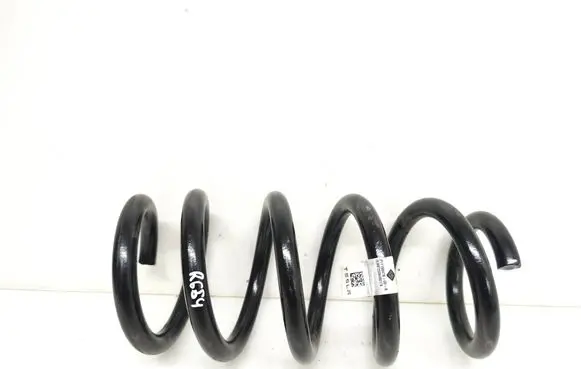 Rear coil spring