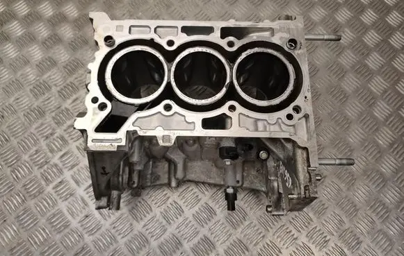 Renault Clio V Engine block 110119230R