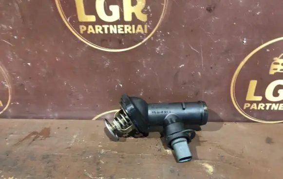 Thermostat/thermostat housing