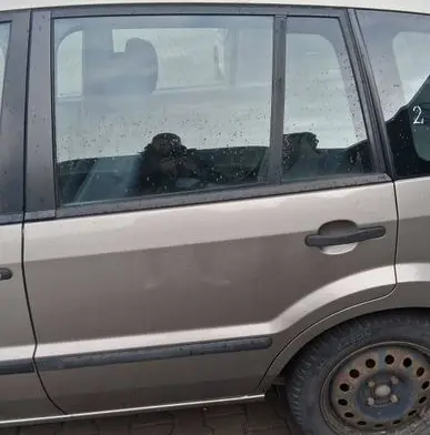 Ford Fusion Front door