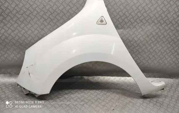 Renault Kangoo II Front wheel arch liner splash guards