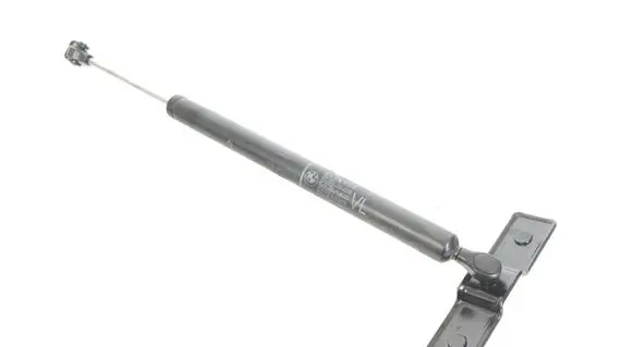 Dacia Sandero Front door check strap stopper 7177615