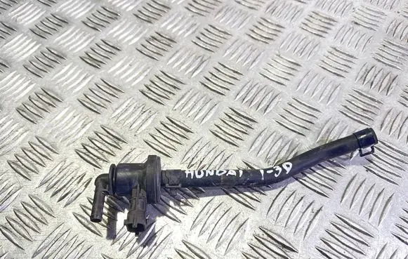 Hyundai i30 Valve vacuum 290102B000