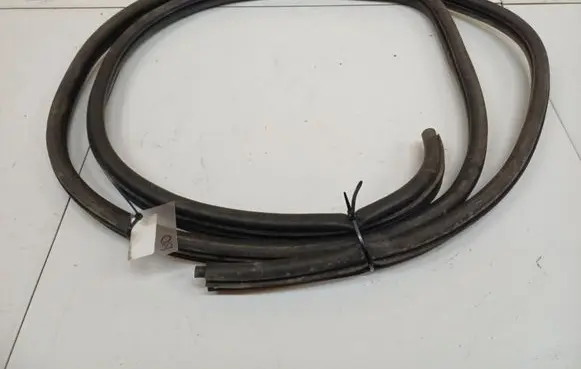Renault Scenic I Rubber seal front coupe door
