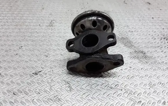 Seat Alhambra (Mk1) EGR valve 028131501E