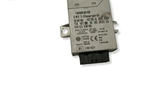 BMW X5 E53 Immobilizer control unit/module 61356905666