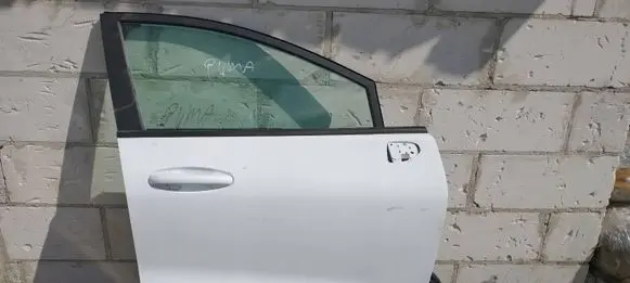 Ford Puma Front door