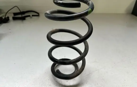 Rear coil spring