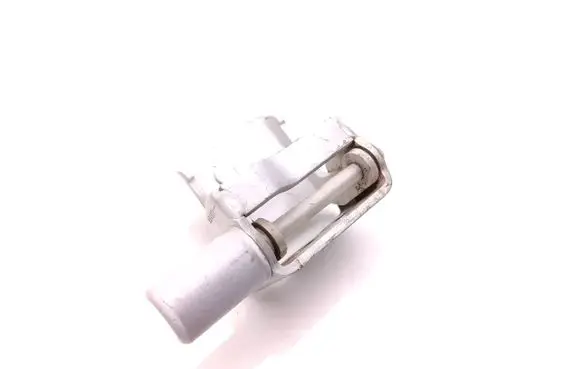 Renault Zoe Rear door lower hinge