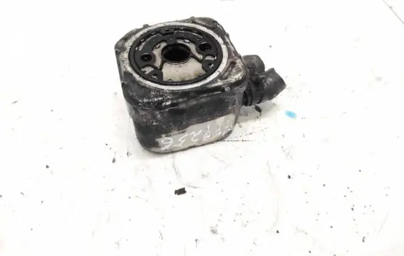 Volkswagen PASSAT B5 Engine oil radiator 
