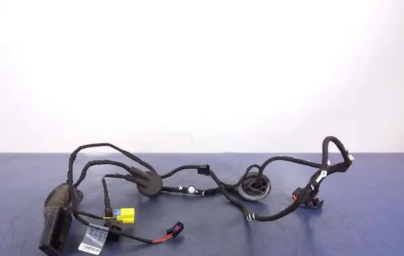 Audi Q5 SQ5 Other wiring loom 8R0971029AM