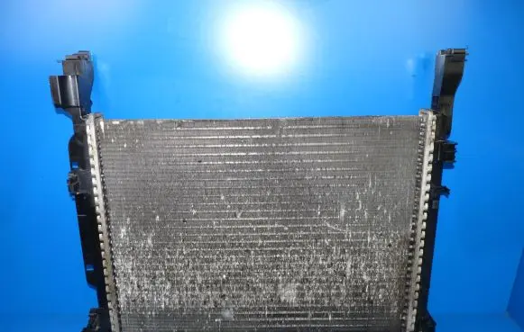 Mercedes-Benz Citan W415 Coolant radiator 8200418328