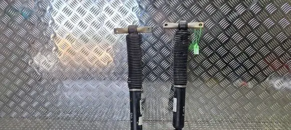 Ford Focus Rear shock absorber/damper S25145091 JX6118080EYG